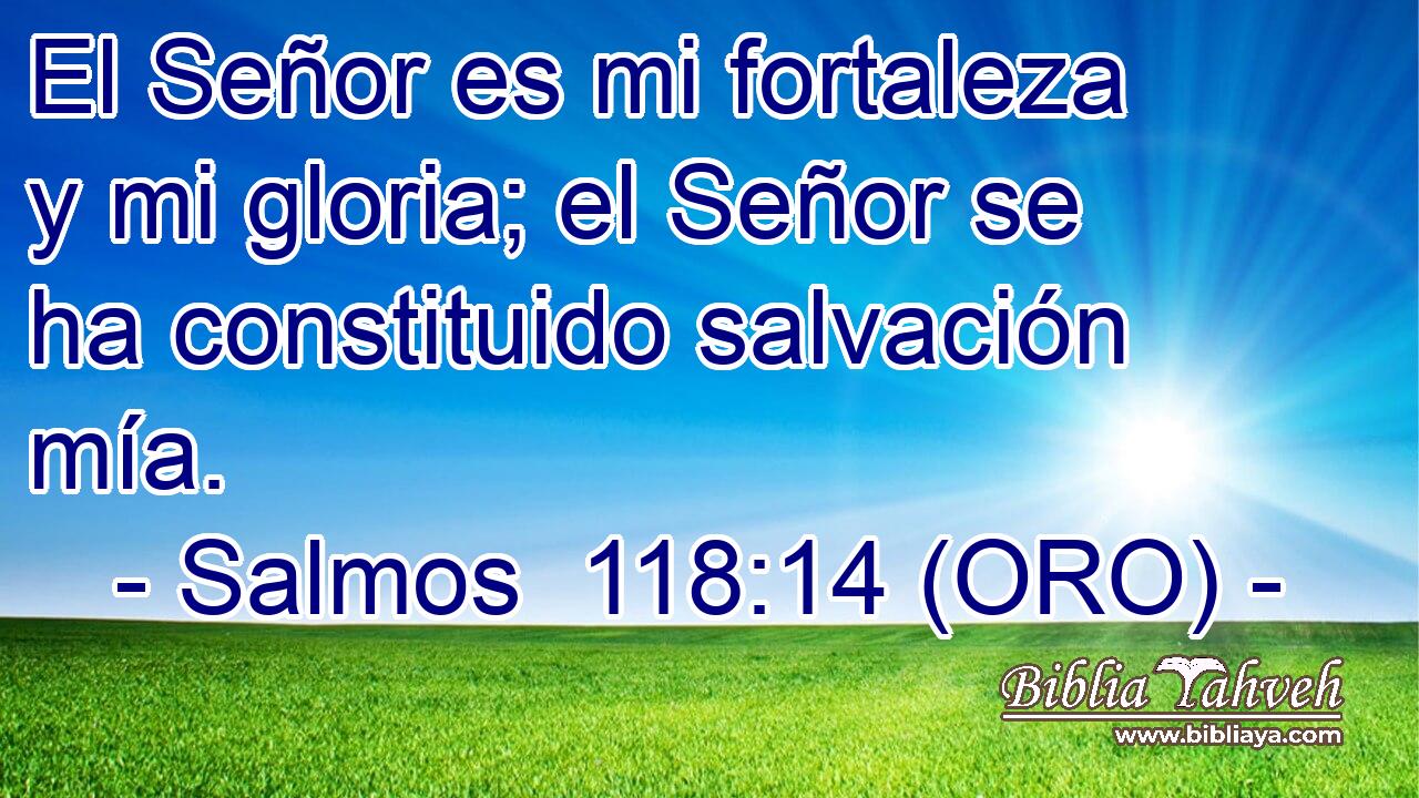  El Señor es mi fortaleza y mi gloria; el Señor se ha constituido salvación mía. 
