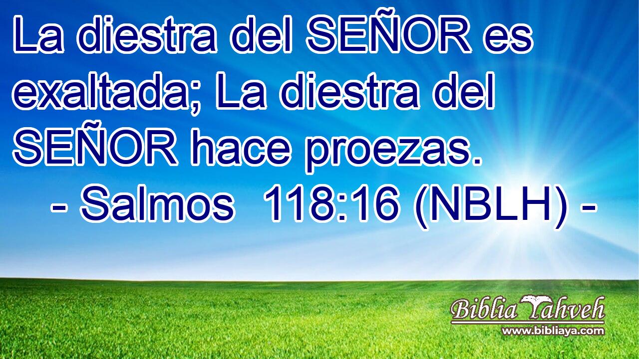  La diestra del SEÑOR es exaltada; La diestra del SEÑOR hace proezas. 