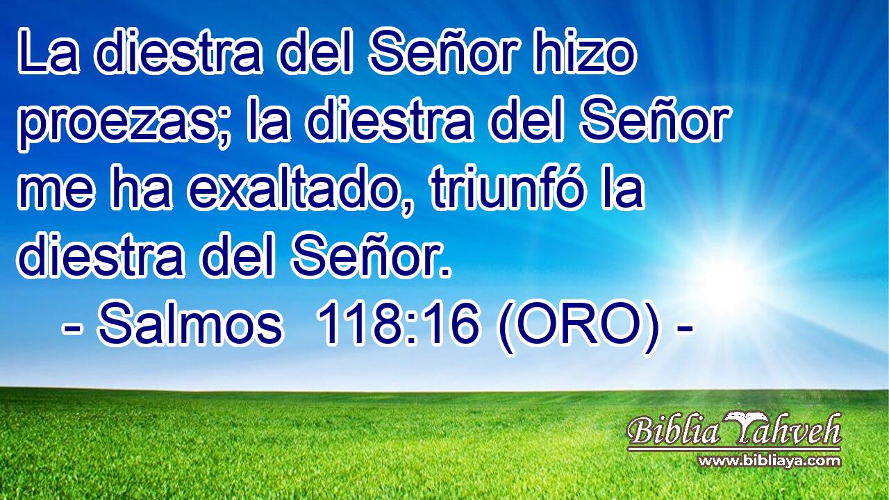  La diestra del Señor hizo proezas; la diestra del Señor me ha exaltado, triunfó la diestra del Señor. 