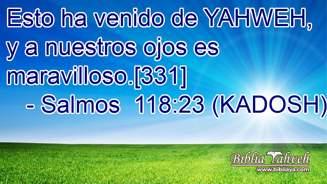  Esto ha venido de YAHWEH, y a nuestros ojos es maravilloso.[331] 