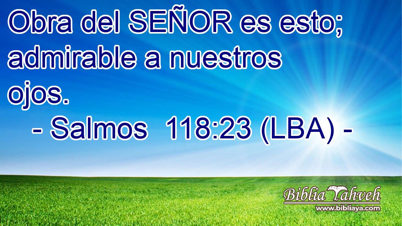 Obra del SEÑOR es esto; admirable a nuestros ojos.