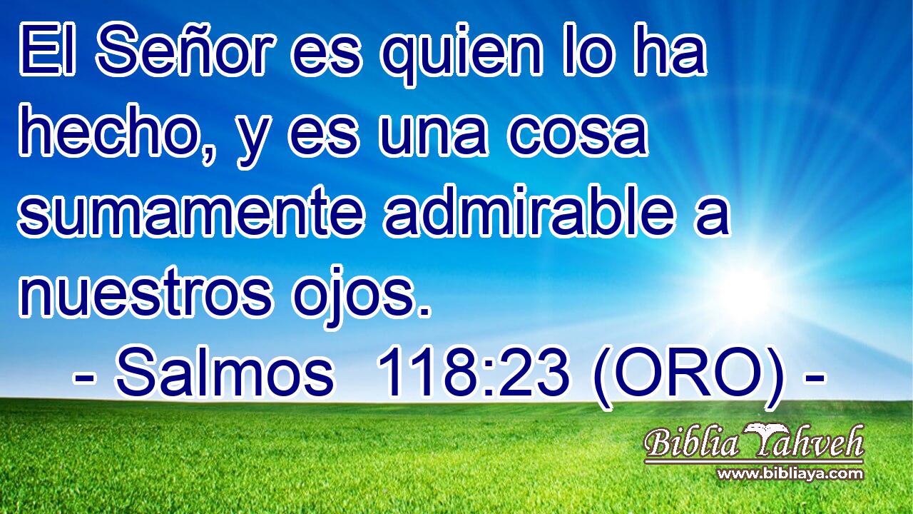  El Señor es quien lo ha hecho, y es una cosa sumamente admirable a nuestros ojos. 