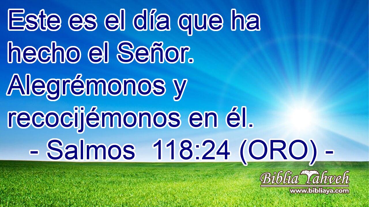  Este es el día que ha hecho el Señor. Alegrémonos y recocijémonos en él. 