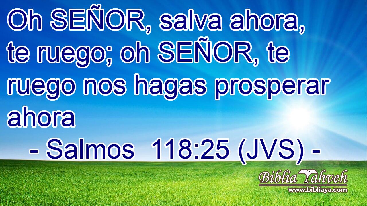 Oh SEÑOR, salva ahora, te ruego; oh SEÑOR, te ruego nos hagas prosperar ahora