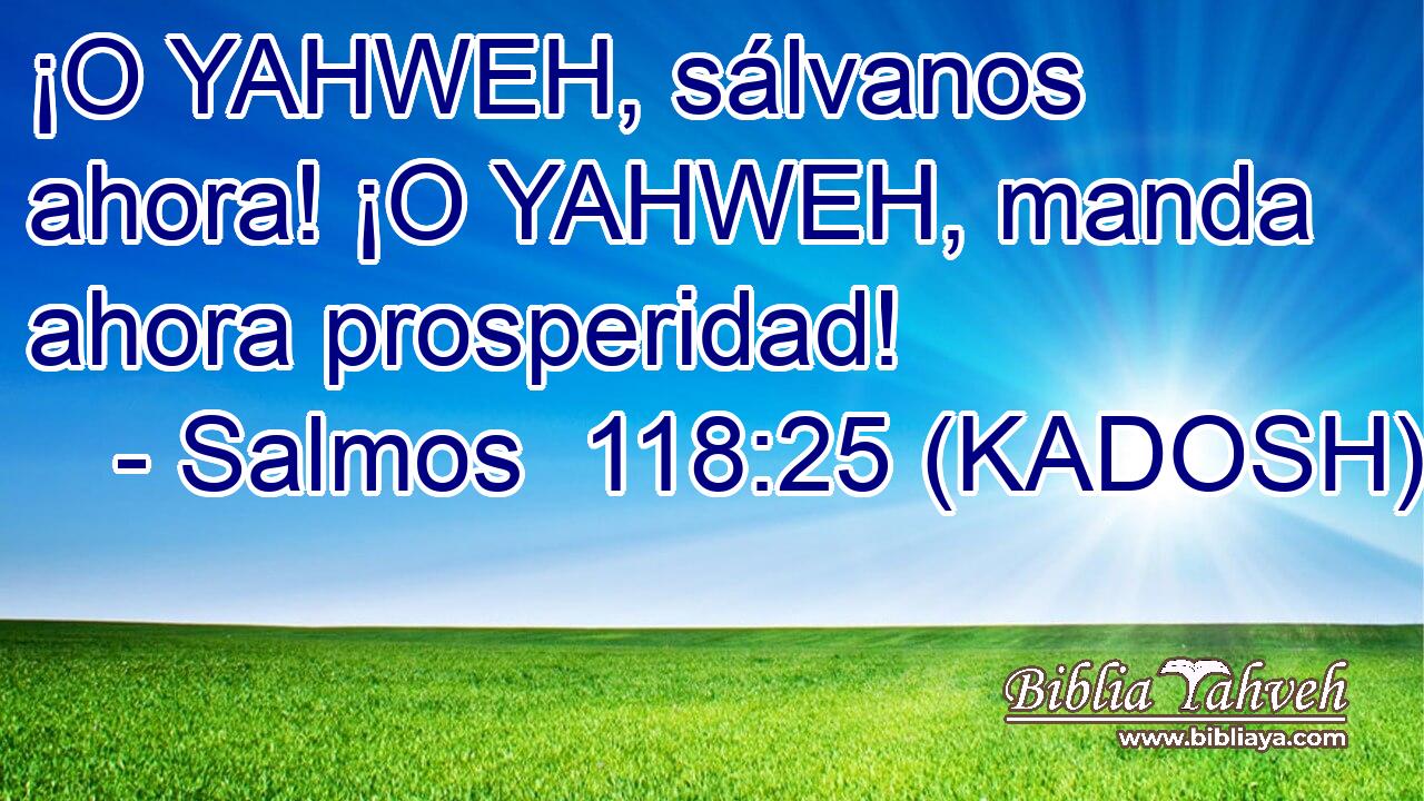  ¡O YAHWEH, sálvanos ahora! ¡O YAHWEH, manda ahora prosperidad! 