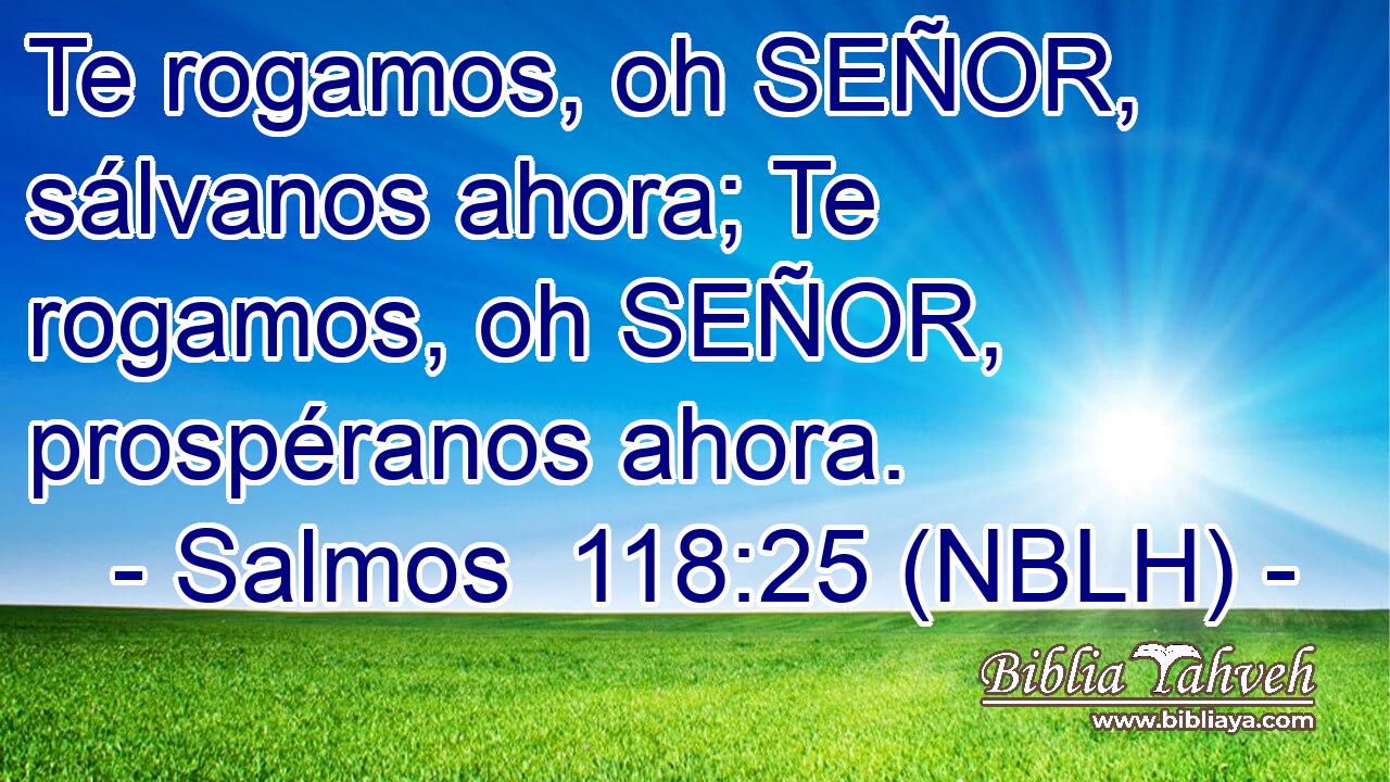  Te rogamos, oh SEÑOR, sálvanos ahora; Te rogamos, oh SEÑOR, prospéranos ahora. 