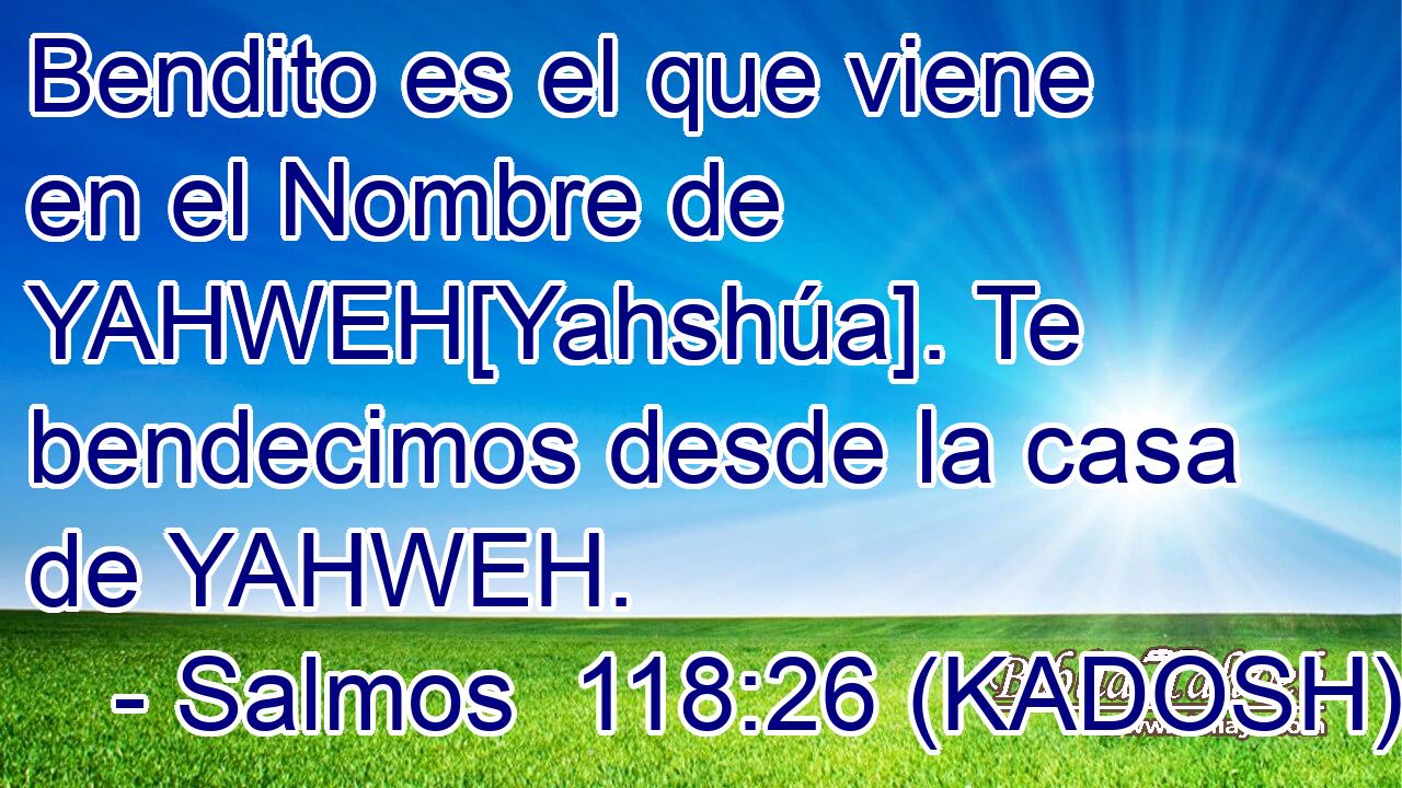  Bendito es el que viene en el Nombre de YAHWEH[Yahshúa]. Te bendecimos desde la casa de YAHWEH. 