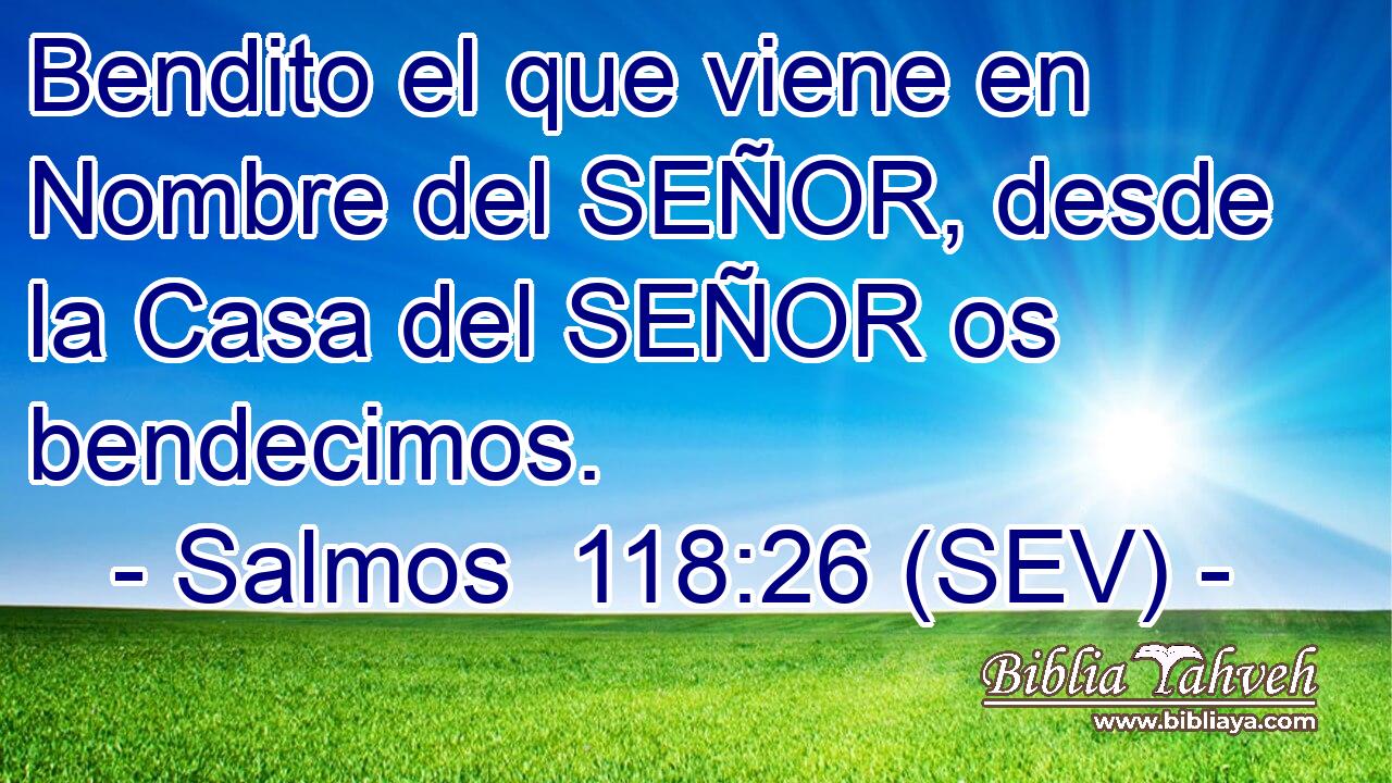 Bendito el que viene en Nombre del SEÑOR, desde la Casa del SEÑOR os bendecimos.