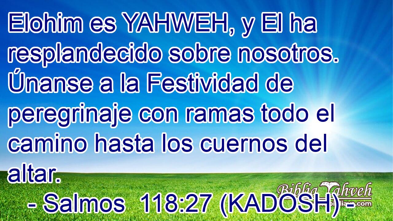  Elohim es YAHWEH, y El ha resplandecido sobre nosotros. Únanse a la Festividad de peregrinaje con ramas todo el camino hasta los cuernos del altar. 