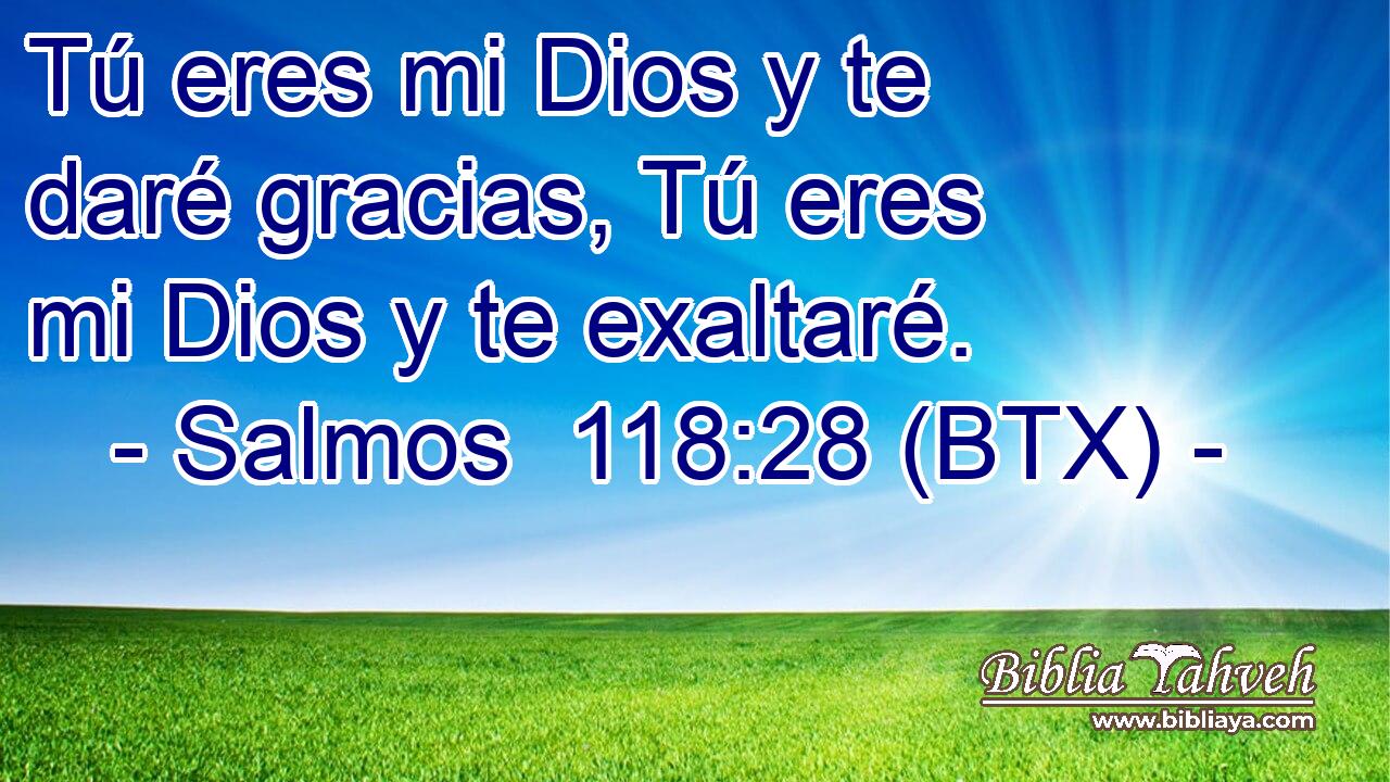 Tú eres mi Dios y te daré gracias, Tú eres mi Dios y te exaltaré.