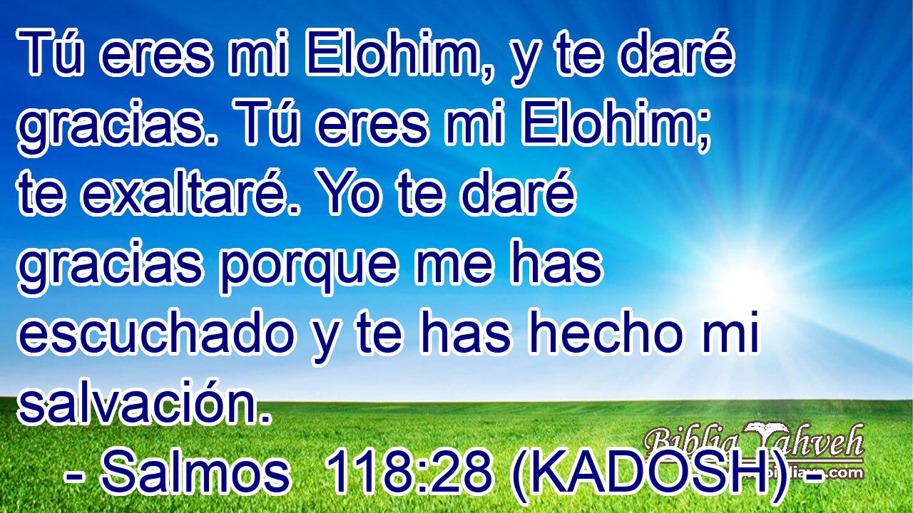  Tú eres mi Elohim, y te daré gracias. Tú eres mi Elohim; te exaltaré. Yo te daré gracias porque me has escuchado y te has hecho mi salvación. 
