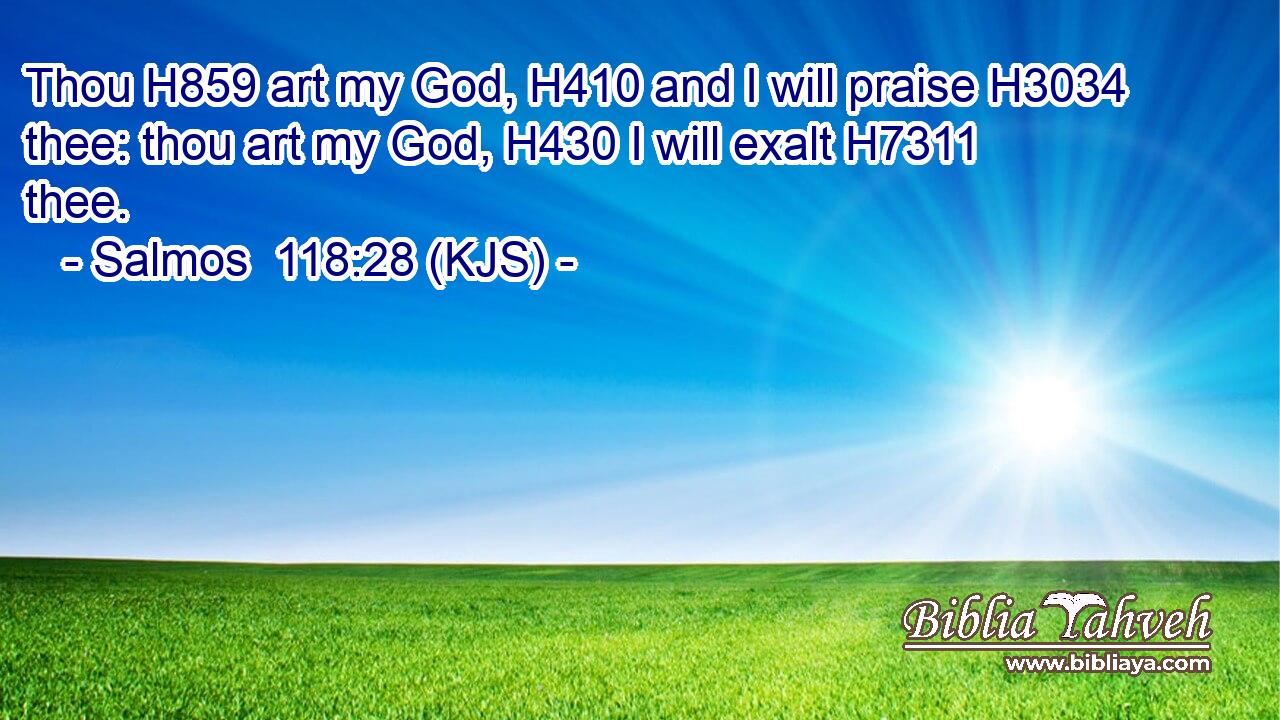 Thou H859 art my God, H410 and I will praise H3034 thee: thou art my God, H430 I will exalt H7311 thee.