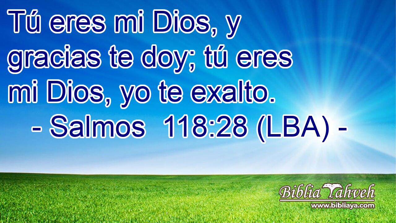 Tú eres mi Dios, y gracias te doy; tú eres mi Dios, yo te exalto.