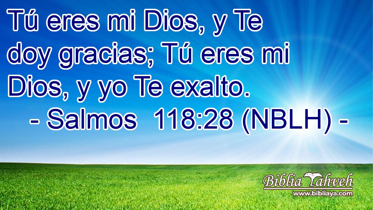  Tú eres mi Dios, y Te doy gracias; Tú eres mi Dios, y yo Te exalto. 