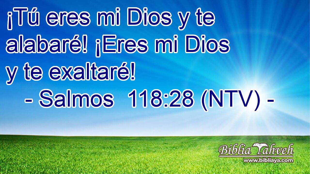 ¡Tú eres mi Dios y te alabaré! ¡Eres mi Dios y te exaltaré!