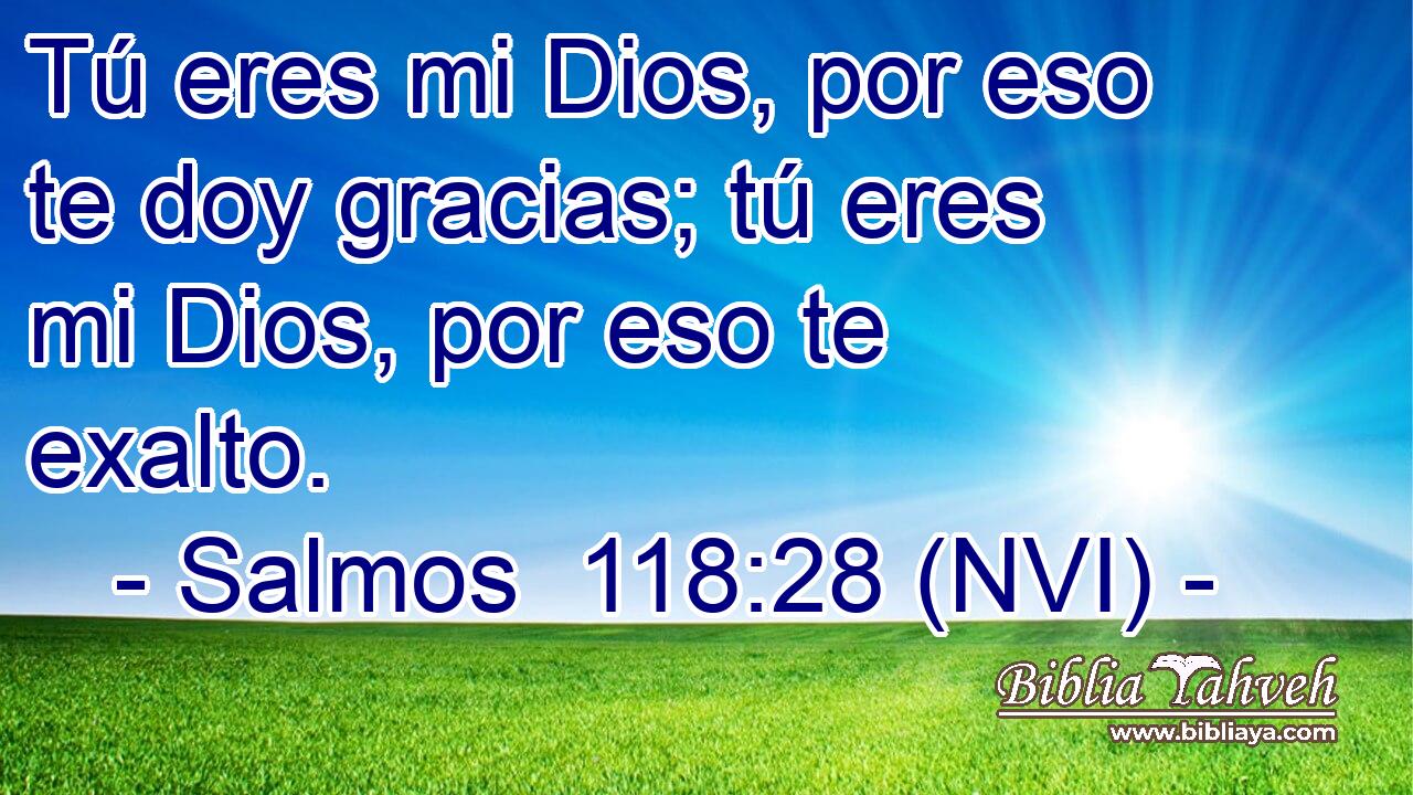  Tú eres mi Dios, por eso te doy gracias; tú eres mi Dios, por eso te exalto. 
