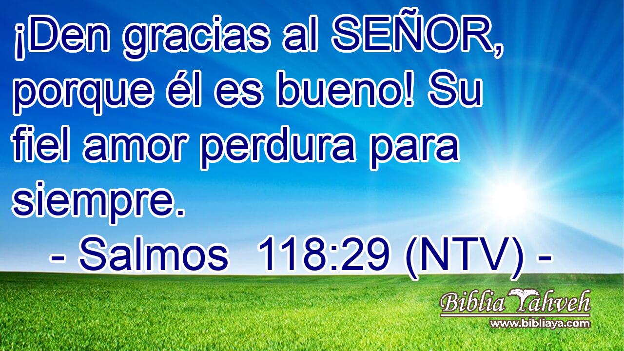 ¡Den gracias al SEÑOR, porque él es bueno! Su fiel amor perdura para siempre.