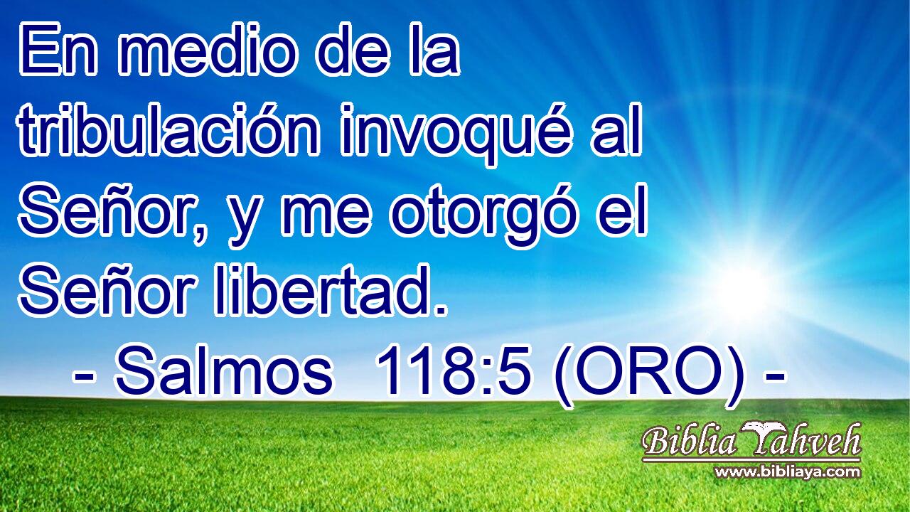  En medio de la tribulación invoqué al Señor, y me otorgó el Señor libertad. 