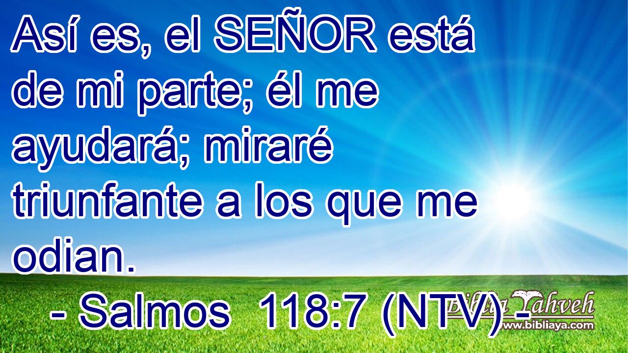 Así es, el SEÑOR está de mi parte; él me ayudará; miraré triunfante a los que me odian.