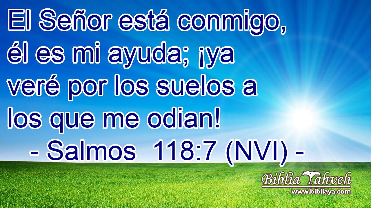  El Señor está conmigo, él es mi ayuda; ¡ya veré por los suelos a los que me odian! 