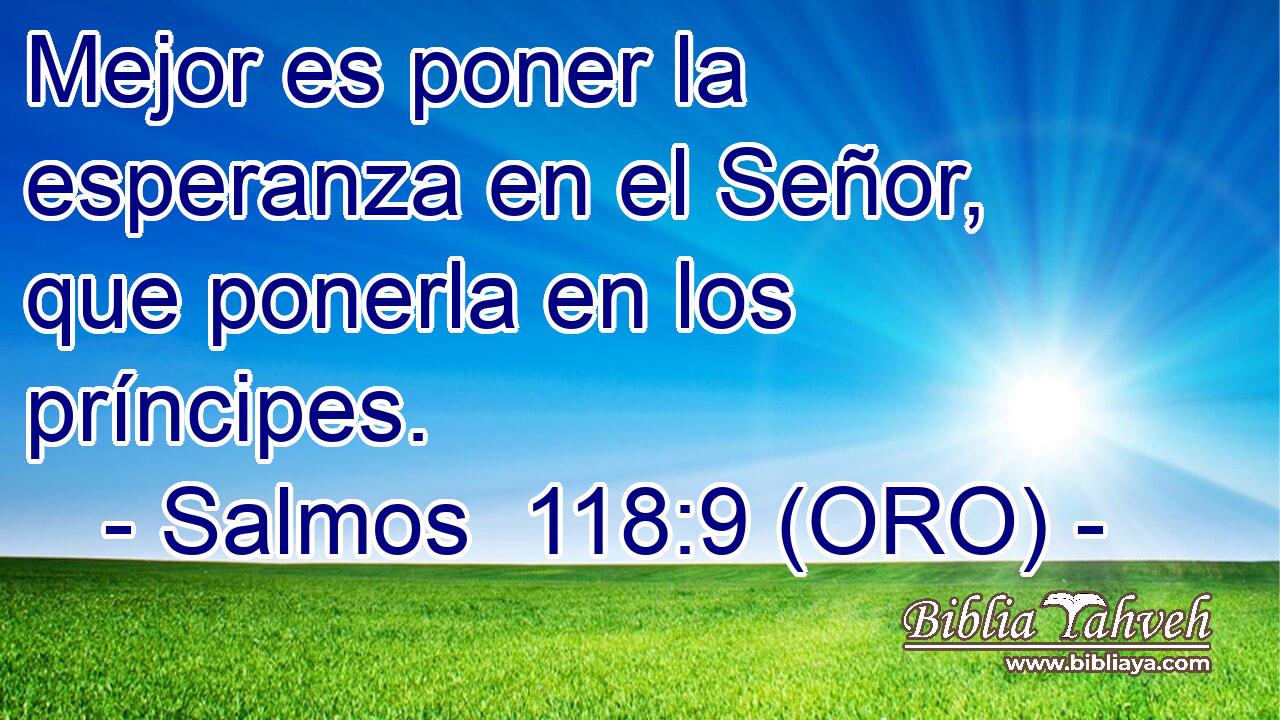 Mejor es poner la esperanza en el Señor, que ponerla en los príncipes. 
