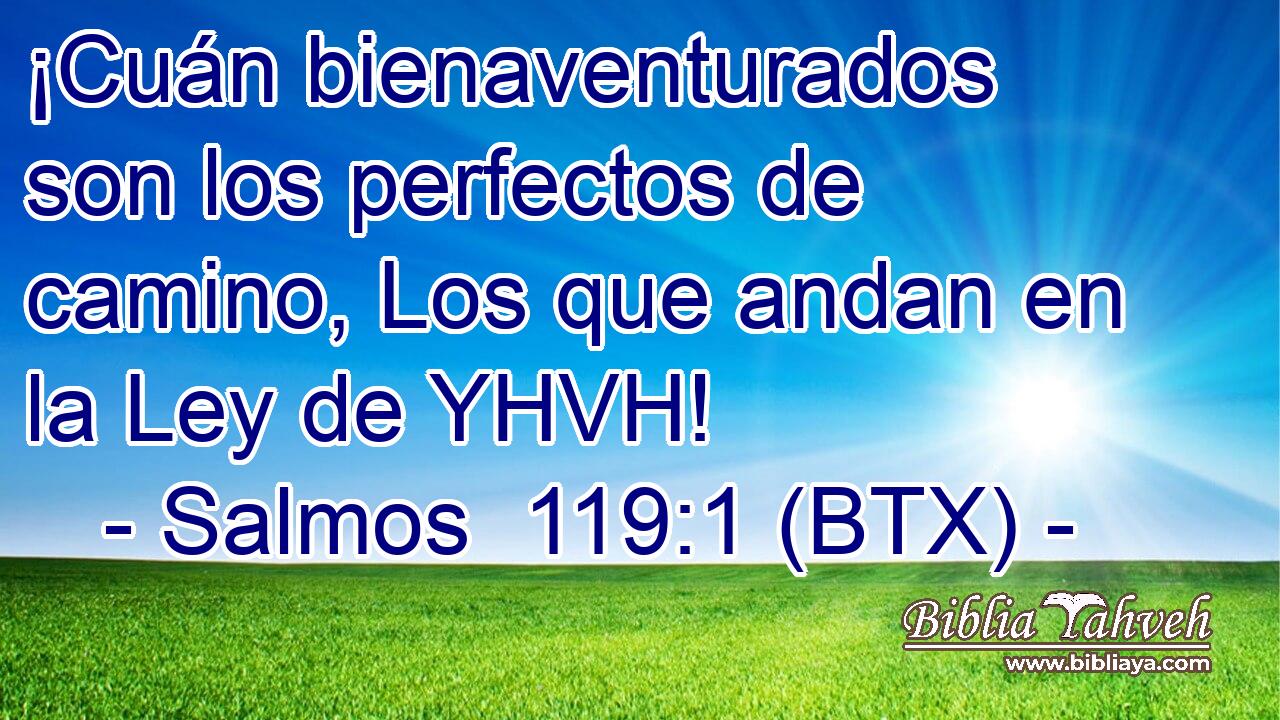 ¡Cuán bienaventurados son los perfectos de camino, Los que andan en la Ley de YHVH!