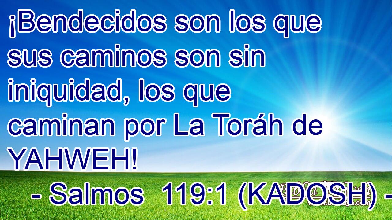  ¡Bendecidos son los que sus caminos son sin iniquidad, los que caminan por La Toráh de YAHWEH! 
