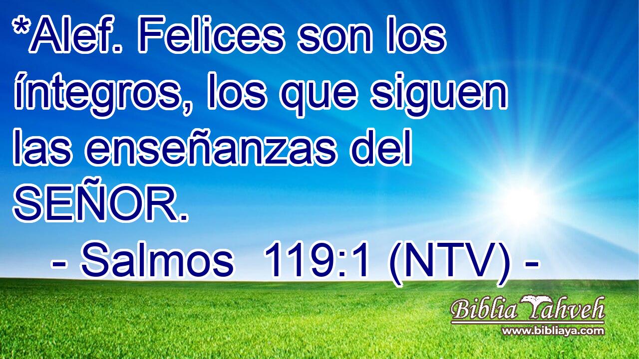 *Alef. Felices son los íntegros, los que siguen las enseñanzas del SEÑOR.