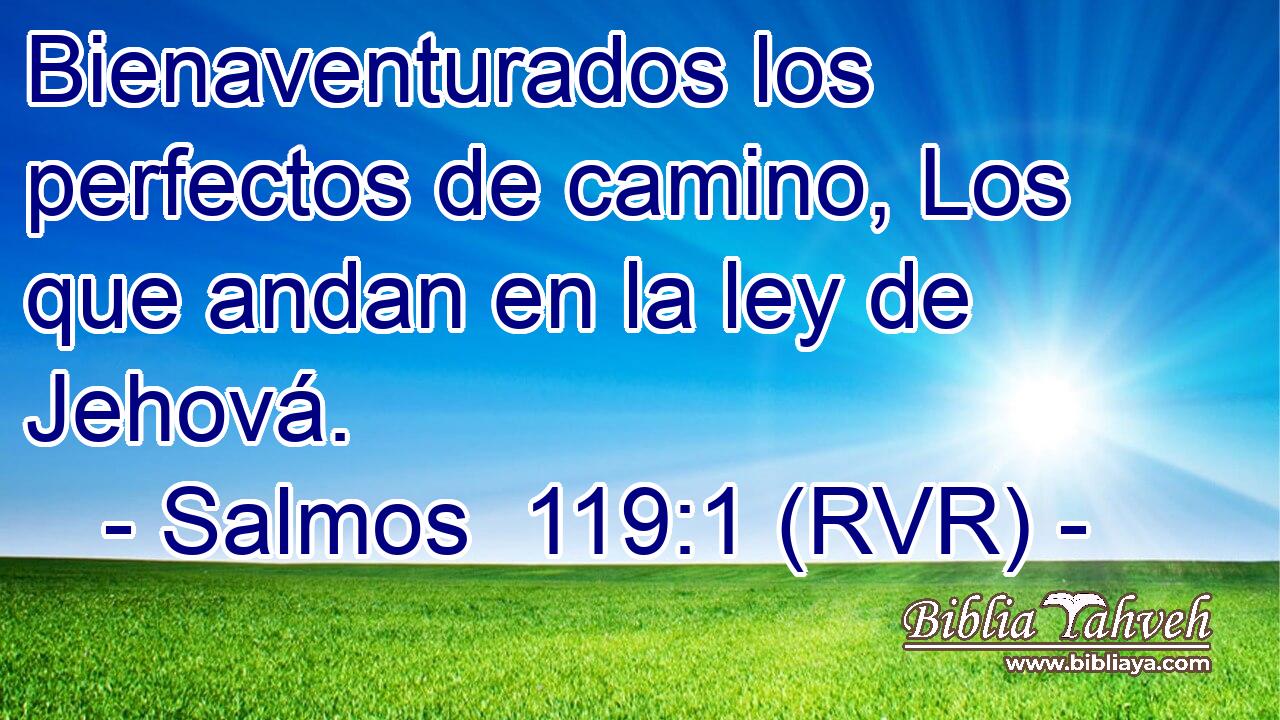 Bienaventurados los perfectos de camino, Los que andan en la ley de Jehová.