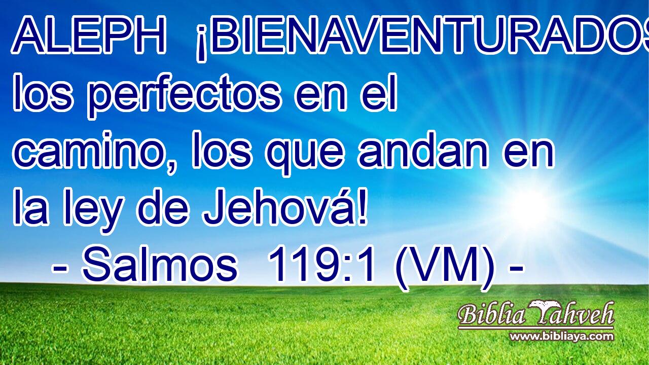  ALEPH  ¡BIENAVENTURADOS los perfectos en el camino, los que andan en la ley de Jehová! 