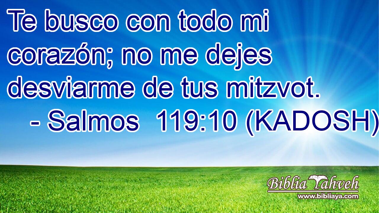  Te busco con todo mi corazón; no me dejes desviarme de tus mitzvot. 