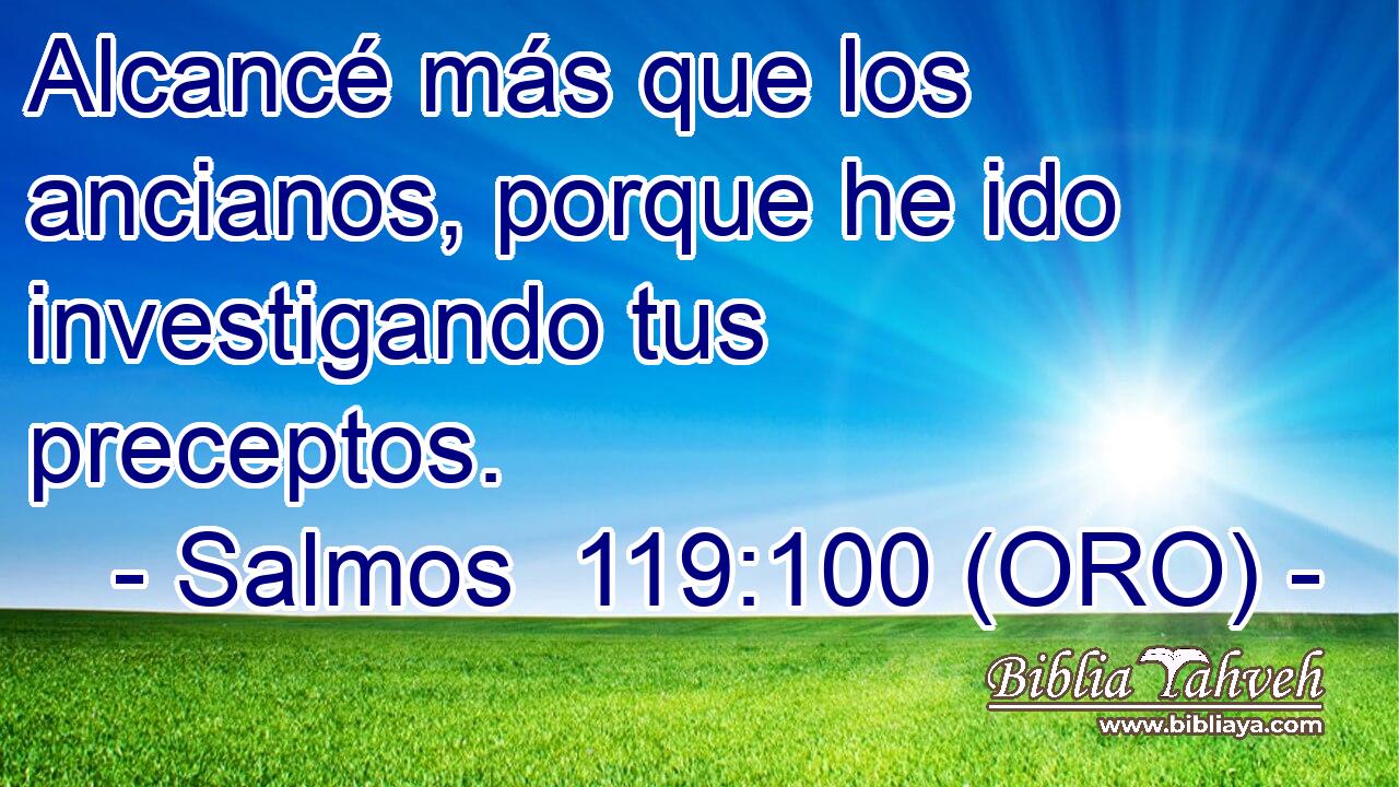  Alcancé más que los ancianos, porque he ido investigando tus preceptos. 