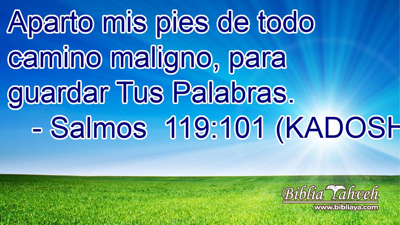  Aparto mis pies de todo camino maligno, para guardar Tus Palabras. 