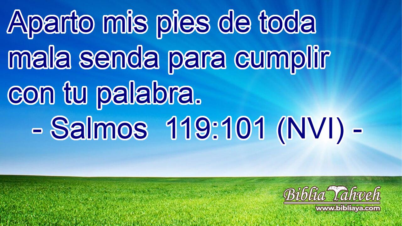  Aparto mis pies de toda mala senda para cumplir con tu palabra. 
