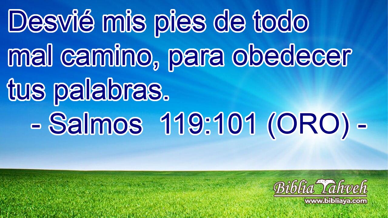  Desvié mis pies de todo mal camino, para obedecer tus palabras. 