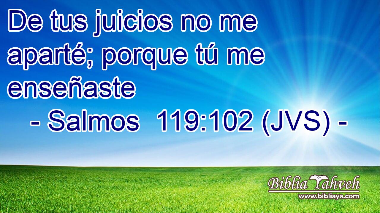 De tus juicios no me aparté; porque tú me enseñaste