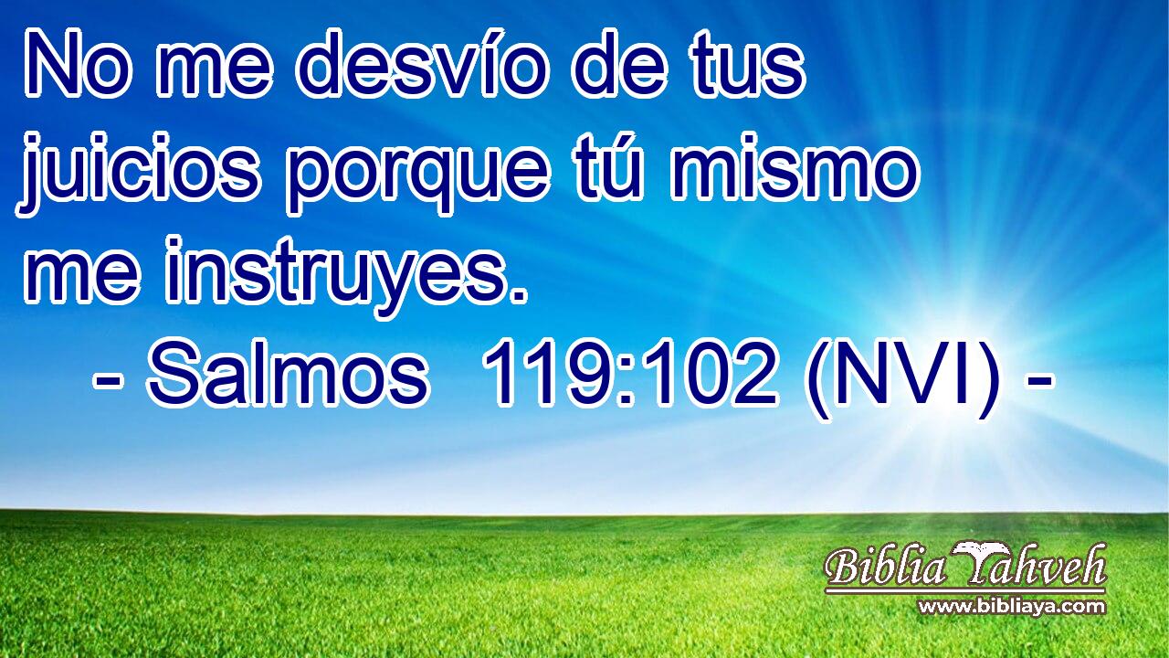  No me desvío de tus juicios porque tú mismo me instruyes. 