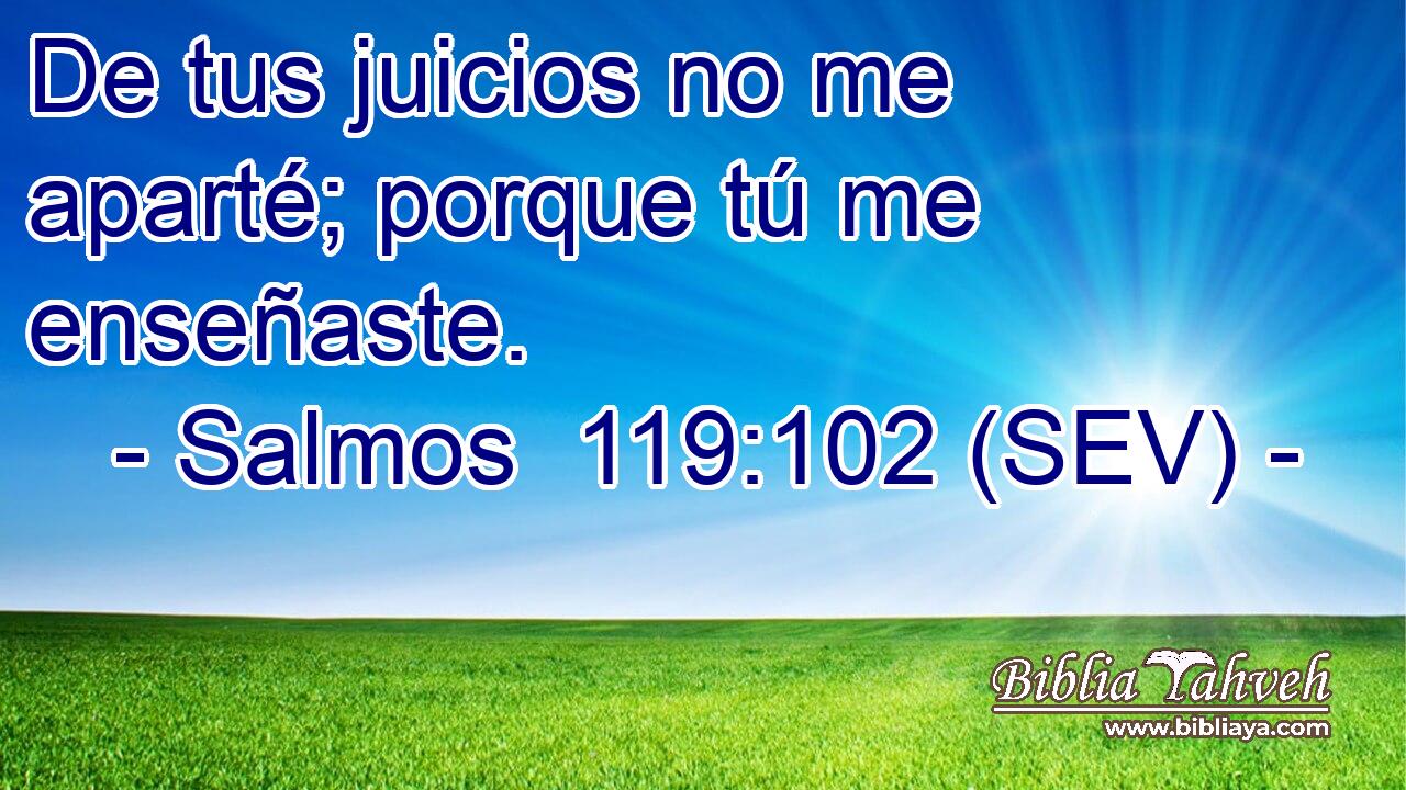 De tus juicios no me aparté; porque tú me enseñaste.
