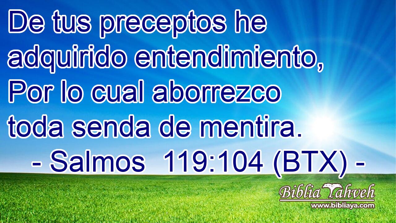 De tus preceptos he adquirido entendimiento, Por lo cual aborrezco toda senda de mentira.