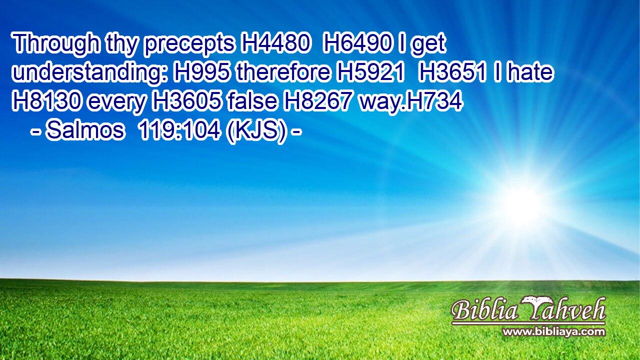 Through thy precepts H4480  H6490 I get understanding: H995 therefore H5921  H3651 I hate H8130 every H3605 false H8267 way.H734