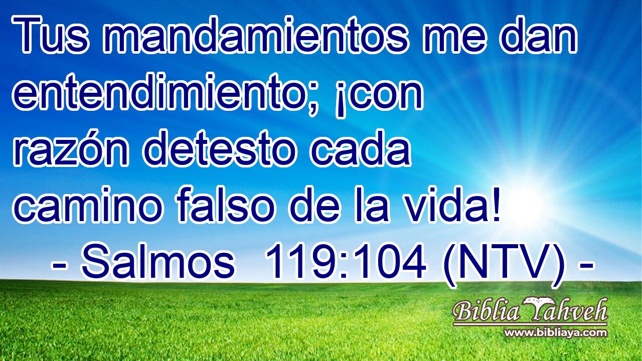 Tus mandamientos me dan entendimiento; ¡con razón detesto cada camino falso de la vida!