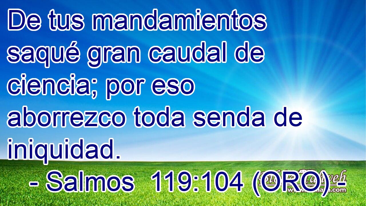  De tus mandamientos saqué gran caudal de ciencia; por eso aborrezco toda senda de iniquidad. 