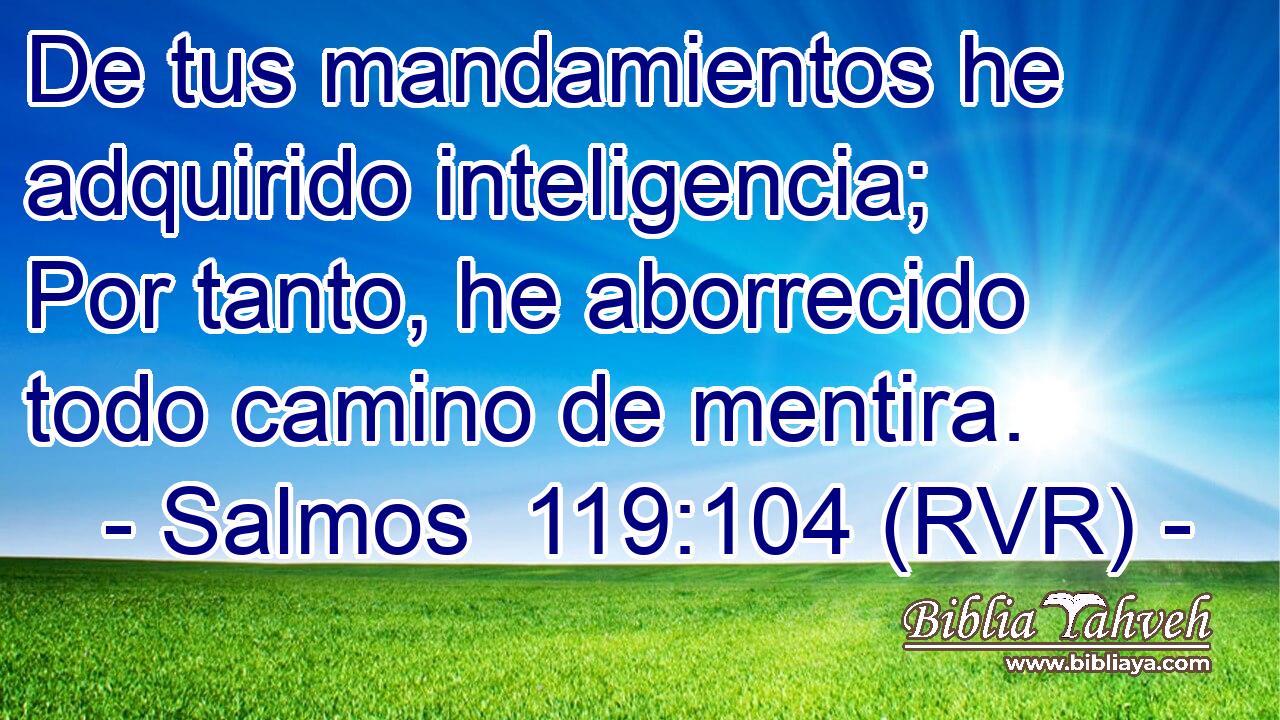 De tus mandamientos he adquirido inteligencia; Por tanto, he aborrecido todo camino de mentira.