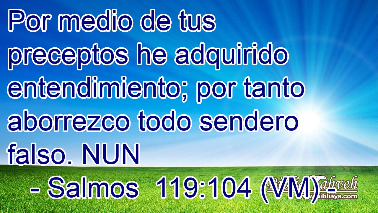  Por medio de tus preceptos he adquirido entendimiento; por tanto aborrezco todo sendero falso. NUN 