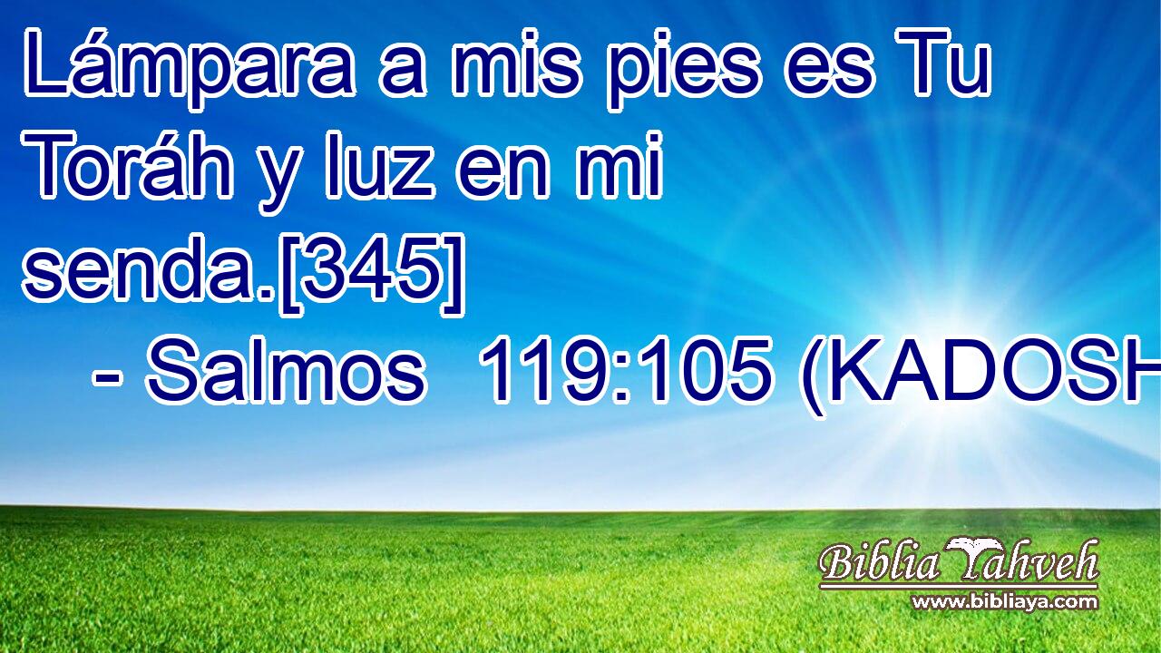  Lámpara a mis pies es Tu Toráh y luz en mi senda.[345] 