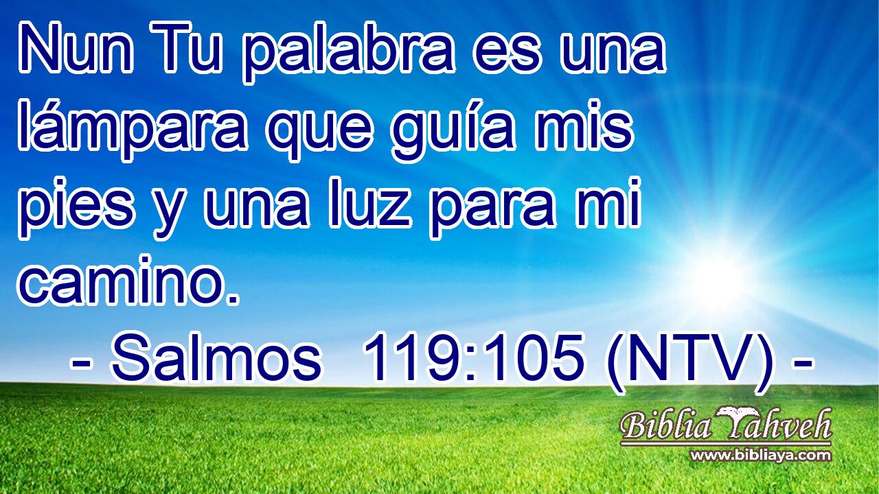 Tu palabra es una lámpara que guía mis pies y una luz para mi camino.