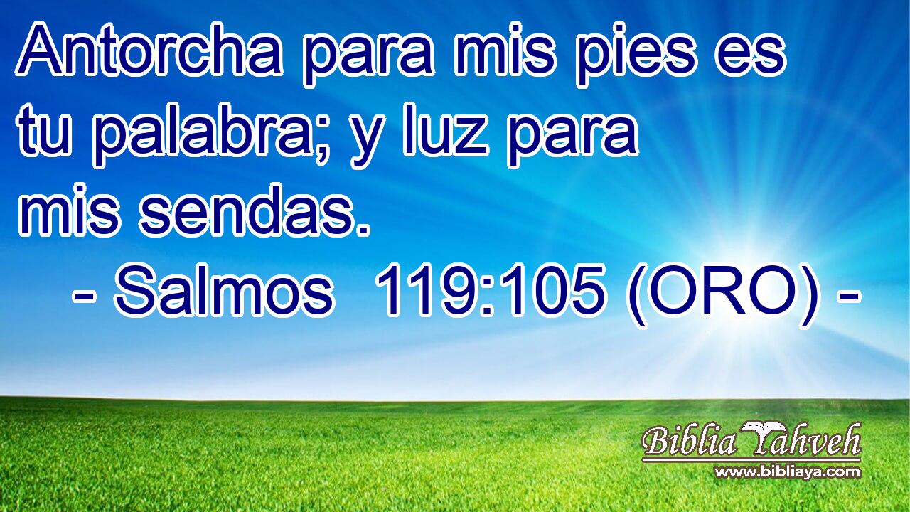  Antorcha para mis pies es tu palabra; y luz para mis sendas. 