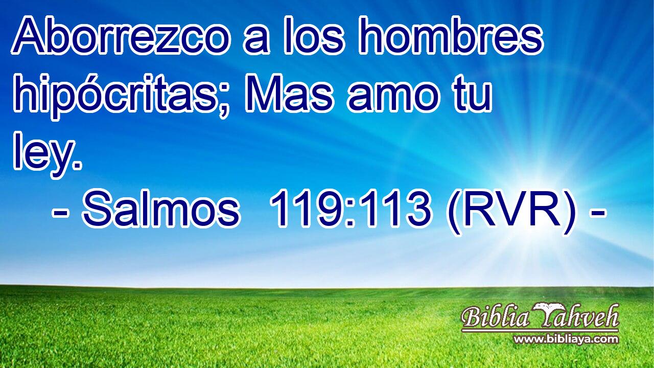 Aborrezco a los hombres hipócritas; Mas amo tu ley.