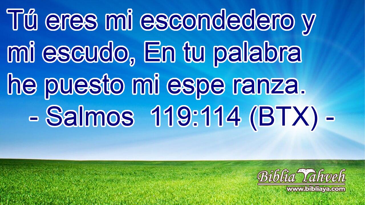 Tú eres mi escondedero y mi escudo, En tu palabra he puesto mi espe ranza.
