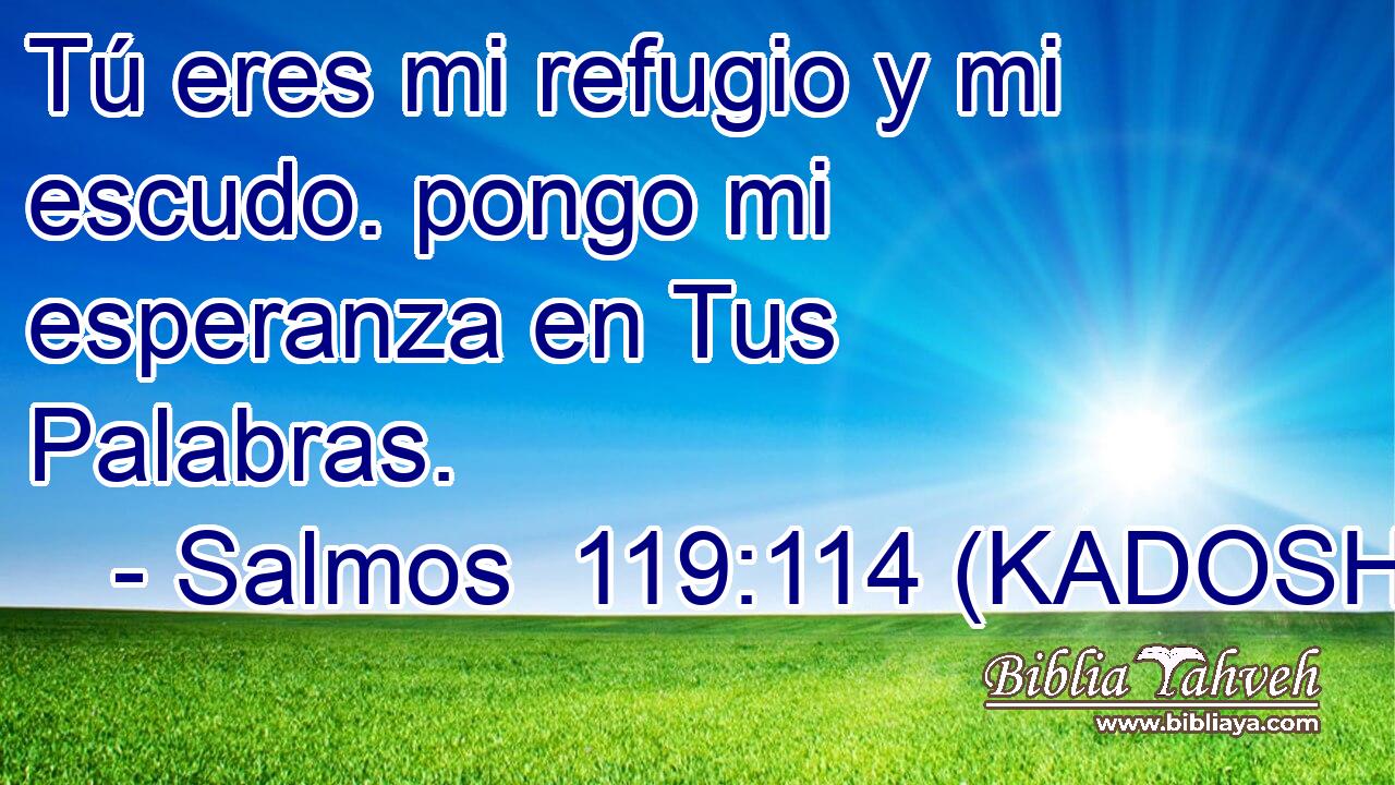  Tú eres mi refugio y mi escudo. pongo mi esperanza en Tus Palabras. 